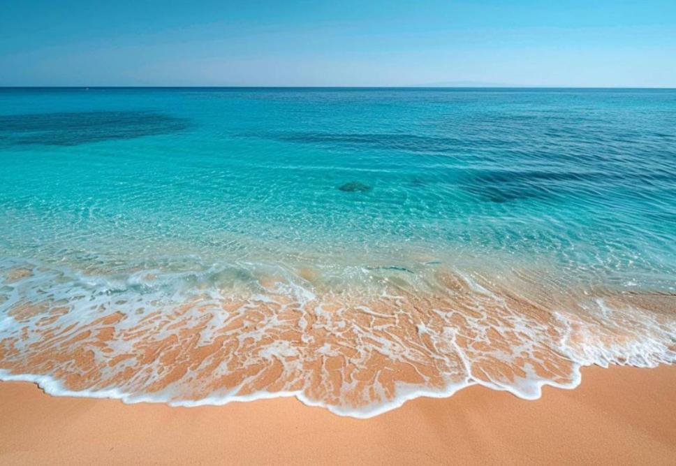 Villa Le Corail Rouge Corse Леччи Екстериор снимка
