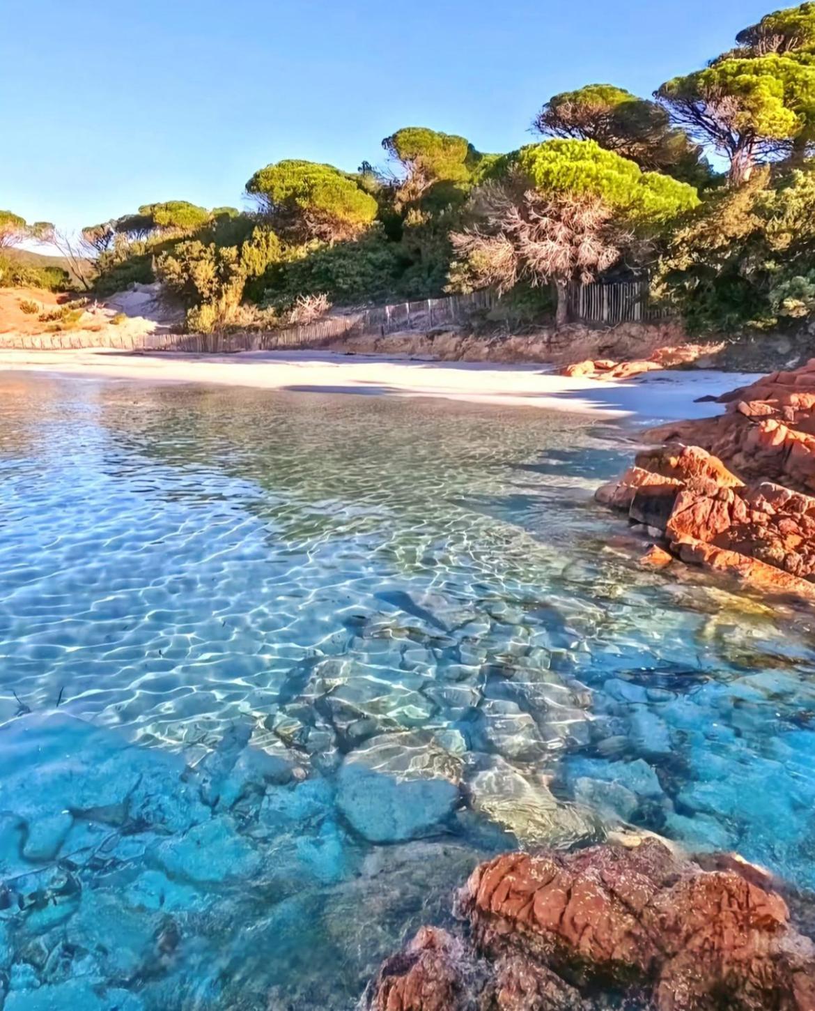 Villa Le Corail Rouge Corse Леччи Екстериор снимка